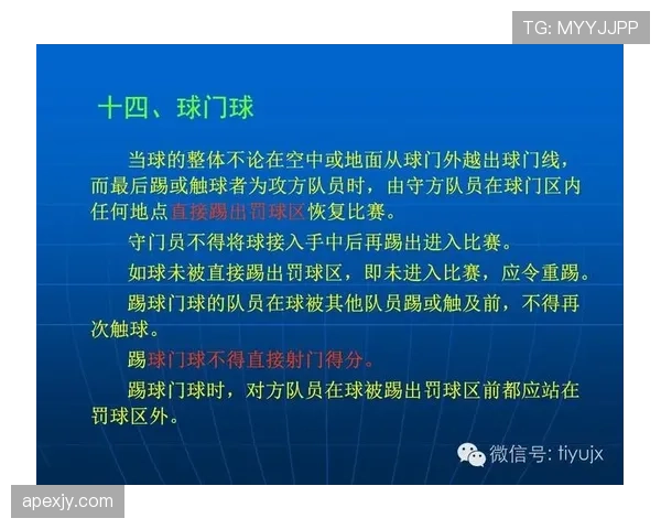 裁判权威如何影响足球规则的执行与判罚公平性解析